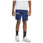 DKBLUE